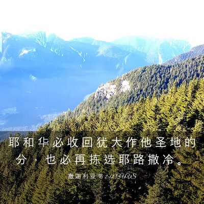 Picture 03 - 撒 迦 利 亚 书 2:12 CUVS - 耶 和 华 必 收 回 犹 大 作 他 圣 地 - Bible Verse Picture