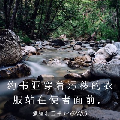 Picture 03 - 撒 迦 利 亚 书 3:3 CUVS - 约 书 亚 穿 着 污 秽 的 衣 服 站 在 - Bible Verse Picture