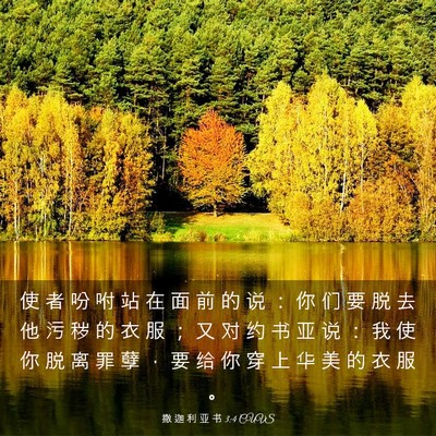 Picture 03 - 撒 迦 利 亚 书 3:4 CUVS - 使 者 吩 咐 站 在 面 前 的 说 ： 你 - Bible Verse Picture