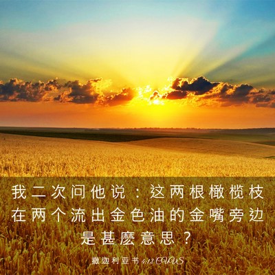 Picture 03 - 撒 迦 利 亚 书 4:12 CUVS - 我 二 次 问 他 说 ： 这 两 根 橄 榄 - Bible Verse Picture