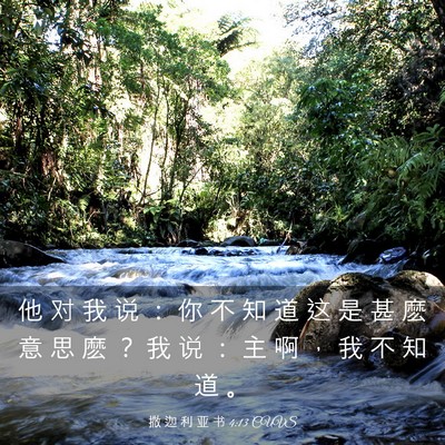 Picture 03 - 撒 迦 利 亚 书 4:13 CUVS - 他 对 我 说 ： 你 不 知 道 这 是 甚 - Bible Verse Picture