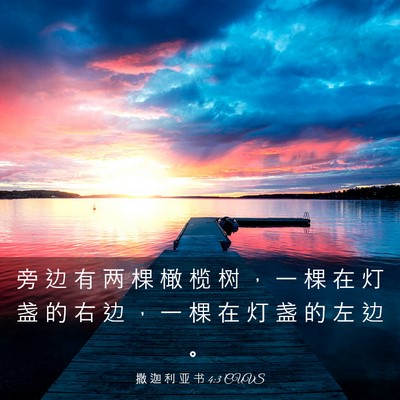 Picture 03 - 撒 迦 利 亚 书 4:3 CUVS - 旁 边 有 两 棵 橄 榄 树 ， 一 棵 在 - Bible Verse Picture