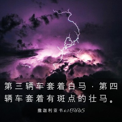 Picture 03 - 撒 迦 利 亚 书 6:3 CUVS - 第 三 辆 车 套 着 白 马 ， 第 四 辆 - Bible Verse Picture