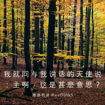 Picture 03 - 撒 迦 利 亚 书 6:4 CUVS - 我 就 问 与 我 说 话 的 天 使 说 ： - Bible Verse Picture