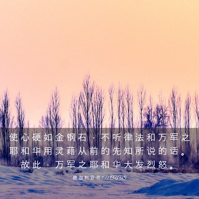 Picture 03 - 撒 迦 利 亚 书 7:12 CUVS - 使 心 硬 如 金 钢 石 ， 不 听 律 法 - Bible Verse Picture