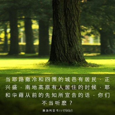 Picture 03 - 撒 迦 利 亚 书 7:7 CUVS - 当 耶 路 撒 冷 和 四 围 的 城 邑 有 - Bible Verse Picture
