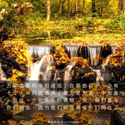 Picture 03 - 撒 迦 利 亚 书 8:23 CUVS - 万 军 之 耶 和 华 如 此 说 ： 在 那 - Bible Verse Picture