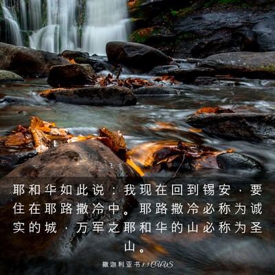 Picture 03 - 撒 迦 利 亚 书 8:3 CUVS - 耶 和 华 如 此 说 ： 我 现 在 回 到 - Bible Verse Picture