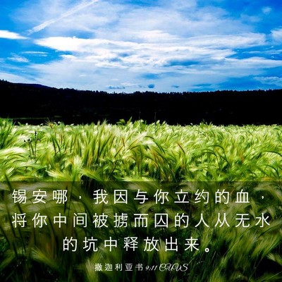 Picture 03 - 撒 迦 利 亚 书 9:11 CUVS - 锡 安 哪 ， 我 因 与 你 立 约 的 血 - Bible Verse Picture