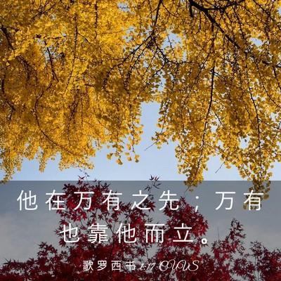 Picture 03 - 歌 罗 西 书 1:17 CUVS - 他 在 万 有 之 先 ； 万 有 也 靠 他 - Bible Verse Picture