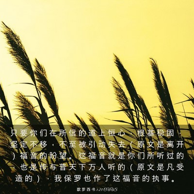 Picture 03 - 歌 罗 西 书 1:23 CUVS - 只 要 你 们 在 所 信 的 道 上 恒 心 - Bible Verse Picture