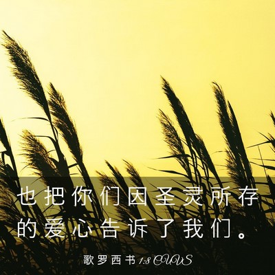 Picture 03 - 歌 罗 西 书 1:8 CUVS - 也 把 你 们 因 圣 灵 所 存 的 爱 心 - Bible Verse Picture