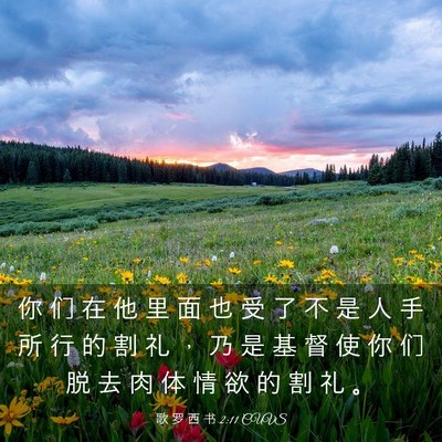 Picture 03 - 歌 罗 西 书 2:11 CUVS - 你 们 在 他 里 面 也 受 了 不 是 人 - Bible Verse Picture