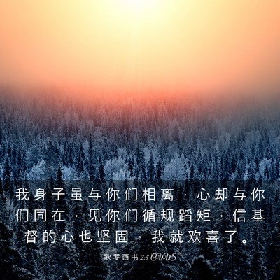 Picture 03 - 歌 罗 西 书 2:5 CUVS - 我 身 子 虽 与 你 们 相 离 ， 心 却 - Bible Verse Picture