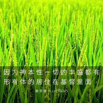 Picture 03 - 歌 罗 西 书 2:9 CUVS - 因 为 神 本 性 一 切 的 丰 盛 都 有 - Bible Verse Picture