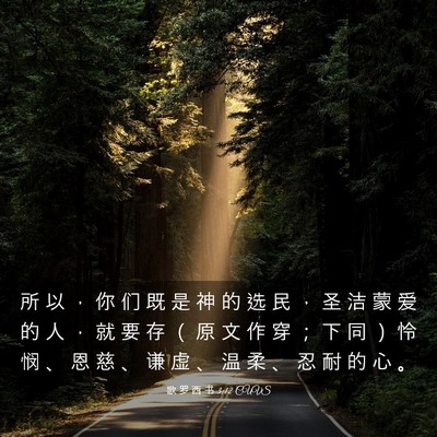 Picture 03 - 歌 罗 西 书 3:12 CUVS - 所 以 ， 你 们 既 是 神 的 选 民 ， - Bible Verse Picture