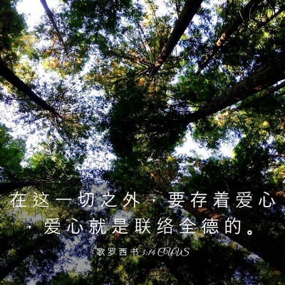 Picture 03 - 歌 罗 西 书 3:14 CUVS - 在 这 一 切 之 外 ， 要 存 着 爱 心 - Bible Verse Picture