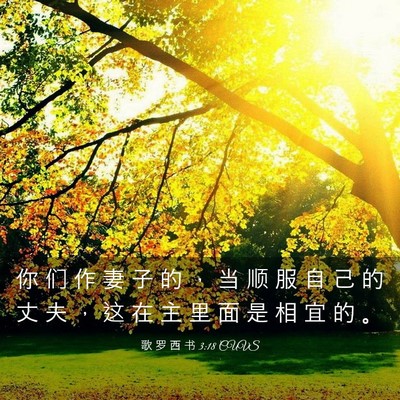 Picture 03 - 歌 罗 西 书 3:18 CUVS - 你 们 作 妻 子 的 ， 当 顺 服 自 己 - Bible Verse Picture