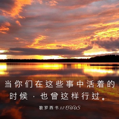 Picture 03 - 歌 罗 西 书 3:7 CUVS - 当 你 们 在 这 些 事 中 活 着 的 时 - Bible Verse Picture