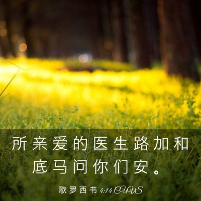 Picture 03 - 歌 罗 西 书 4:14 CUVS - 所 亲 爱 的 医 生 路 加 和 底 马 问 - Bible Verse Picture