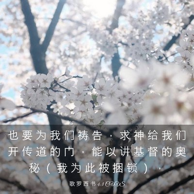 Picture 03 - 歌 罗 西 书 4:3 CUVS - 也 要 为 我 们 祷 告 ， 求 神 给 我 - Bible Verse Picture