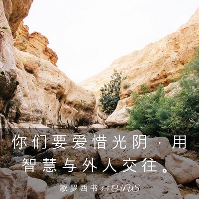 Picture 03 - 歌 罗 西 书 4:5 CUVS - 你 们 要 爱 惜 光 阴 ， 用 智 慧 与 - Bible Verse Picture