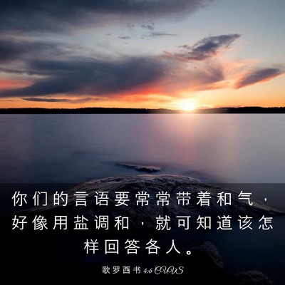 Picture 03 - 歌 罗 西 书 4:6 CUVS - 你 们 的 言 语 要 常 常 带 着 和 气 - Bible Verse Picture