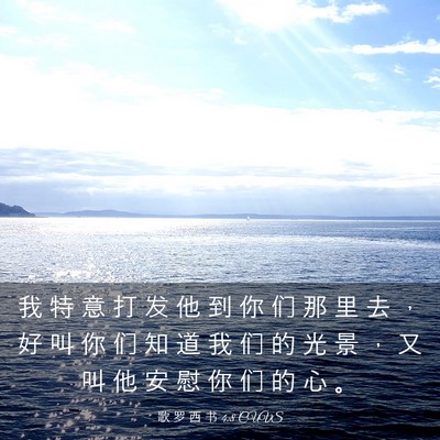 Picture 03 - 歌 罗 西 书 4:8 CUVS - 我 特 意 打 发 他 到 你 们 那 里 去 - Bible Verse Picture