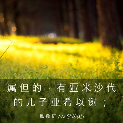 Picture 03 - 民 数 记 1:12 CUVS - 属 但 的 ， 有 亚 米 沙 代 的 儿 子 - Bible Verse Picture