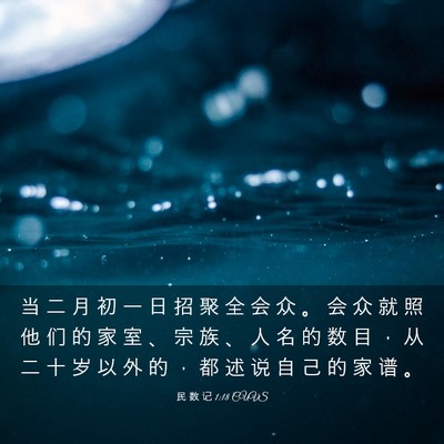 Picture 03 - 民 数 记 1:18 CUVS - 当 二 月 初 一 日 招 聚 全 会 众 。 - Bible Verse Picture
