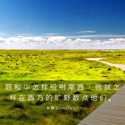 Picture 03 - 民 数 记 1:19 CUVS - 耶 和 华 怎 样 吩 咐 摩 西 ， 他 就 - Bible Verse Picture
