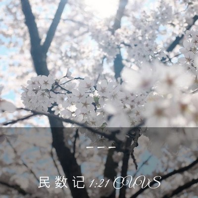 Picture 03 - 民 数 记 1:21 CUVS -  - Bible Verse Picture