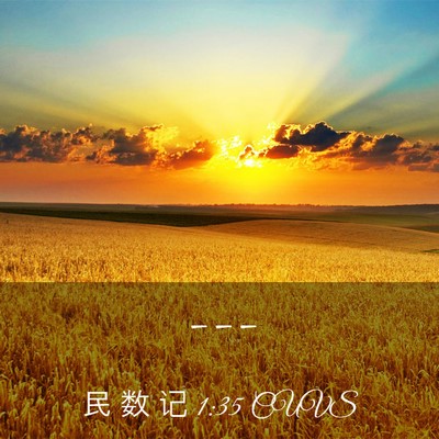 Picture 03 - 民 数 记 1:35 CUVS -  - Bible Verse Picture