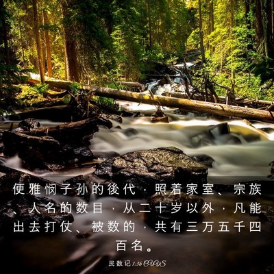Picture 03 - 民 数 记 1:36 CUVS - 便 雅 悯 子 孙 的 後 代 ， 照 着 家 - Bible Verse Picture