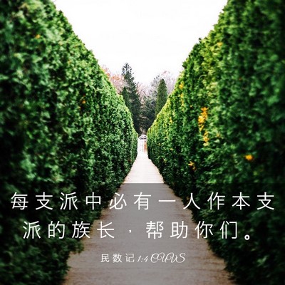Picture 03 - 民 数 记 1:4 CUVS - 每 支 派 中 必 有 一 人 作 本 支 派 - Bible Verse Picture
