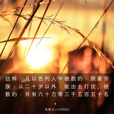 Picture 03 - 民 数 记 1:45 CUVS - 这 样 ， 凡 以 色 列 人 中 被 数 的 - Bible Verse Picture