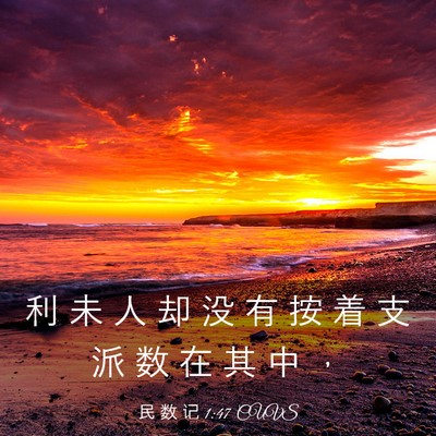 Picture 03 - 民 数 记 1:47 CUVS - 利 未 人 却 没 有 按 着 支 派 数 在 - Bible Verse Picture