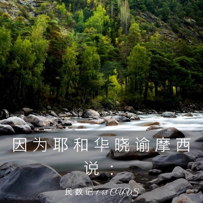 Picture 03 - 民 数 记 1:48 CUVS - 因 为 耶 和 华 晓 谕 摩 西 说 - Bible Verse Picture