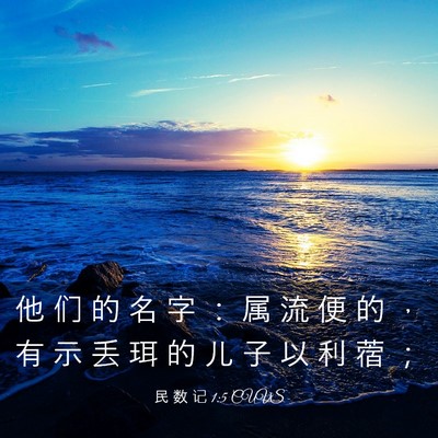 Picture 03 - 民 数 记 1:5 CUVS - 他 们 的 名 字 ： 属 流 便 的 ， 有 - Bible Verse Picture