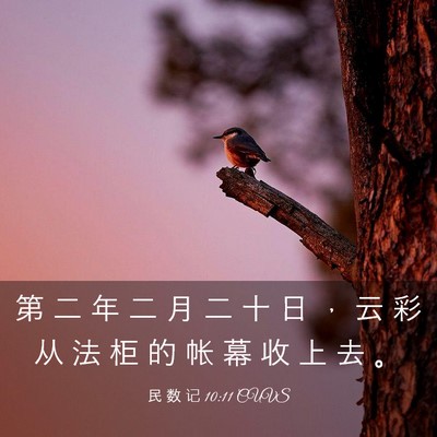 Picture 03 - 民 数 记 10:11 CUVS - 第 二 年 二 月 二 十 日 ， 云 彩 从 - Bible Verse Picture