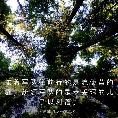Picture 03 - 民 数 记 10:18 CUVS - 按 着 军 队 往 前 行 的 是 流 便 营 - Bible Verse Picture