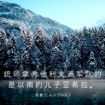 Picture 03 - 民 数 记 10:27 CUVS - 统 领 拿 弗 他 利 支 派 军 队 的 是 - Bible Verse Picture
