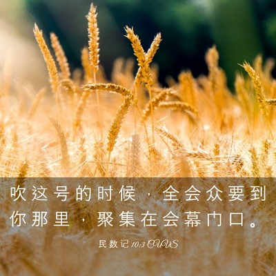 Picture 03 - 民 数 记 10:3 CUVS - 吹 这 号 的 时 候 ， 全 会 众 要 到 - Bible Verse Picture