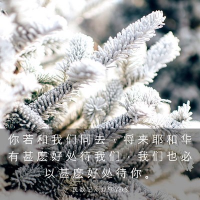 Picture 03 - 民 数 记 10:32 CUVS - 你 若 和 我 们 同 去 ， 将 来 耶 和 - Bible Verse Picture