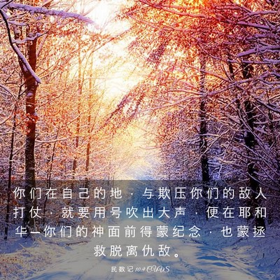 Picture 03 - 民 数 记 10:9 CUVS - 你 们 在 自 己 的 地 ， 与 欺 压 你 - Bible Verse Picture