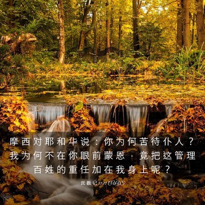 Picture 03 - 民 数 记 11:11 CUVS - 摩 西 对 耶 和 华 说 ： 你 为 何 苦 - Bible Verse Picture