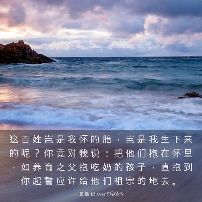 Picture 03 - 民 数 记 11:12 CUVS - 这 百 姓 岂 是 我 怀 的 胎 ， 岂 是 - Bible Verse Picture