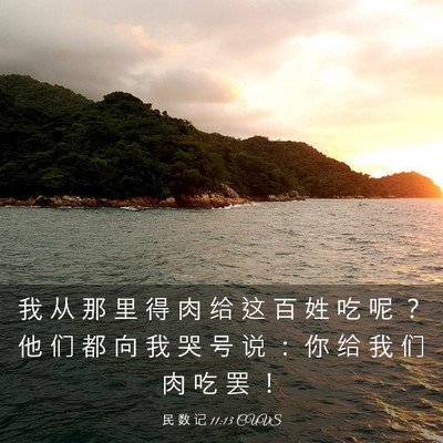 Picture 03 - 民 数 记 11:13 CUVS - 我 从 那 里 得 肉 给 这 百 姓 吃 呢 - Bible Verse Picture