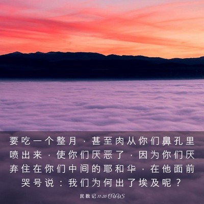 Picture 03 - 民 数 记 11:20 CUVS - 要 吃 一 个 整 月 ， 甚 至 肉 从 你 - Bible Verse Picture