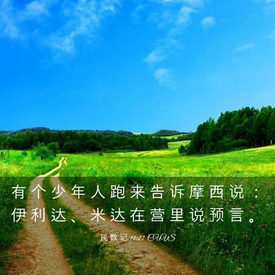Picture 03 - 民 数 记 11:27 CUVS - 有 个 少 年 人 跑 来 告 诉 摩 西 说 - Bible Verse Picture